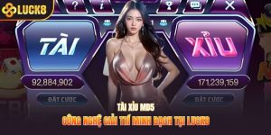 Tài xỉu MD5